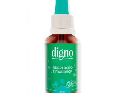 Adaptação e Mudança