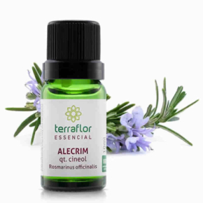 Alecrim QT. Cineol - Rosmarinus officinalis