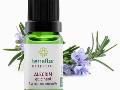 Alecrim QT. Cineol - Rosmarinus officinalis