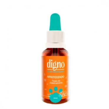 Aprendizado - Fases do Adestramento