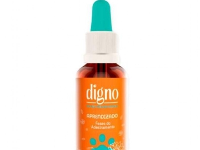 Aprendizado - Fases do Adestramento