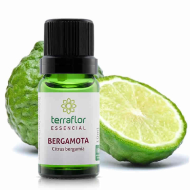 Bergamota - Citrus bergamia