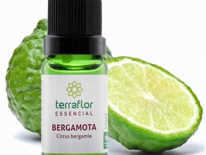 Bergamota - Citrus bergamia