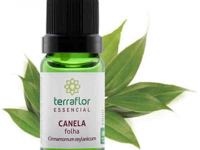 Canela Folha - Cinnamomum zeylanicum