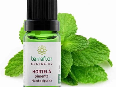 Hortelã Pimenta - Mentha piperita