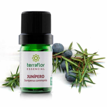 Junípero - Juniperus communis