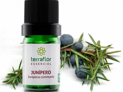 Junípero - Juniperus communis