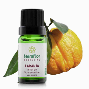 Laranja Amarga - Citrus aurantium var. amara