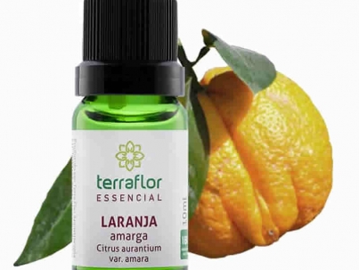 Laranja Amarga - Citrus aurantium var. amara