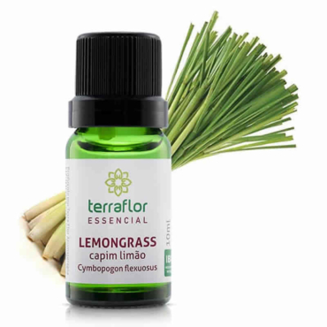 Lemongrass - Cymbopogon flexuosus
