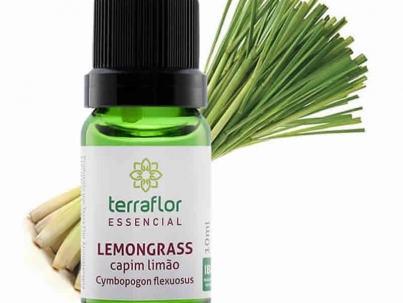 Lemongrass - Cymbopogon flexuosus