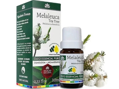 Óleo Puro Melaleuca - Melaleuca alternifolia_18