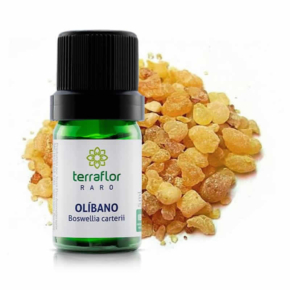 Olíbano - Boswellia carterii