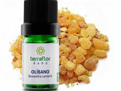 Olíbano - Boswellia carterii