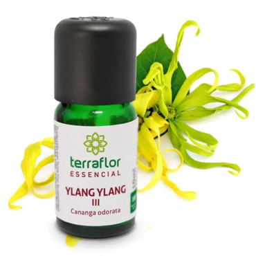 Ylang Ylang III - Cananga odorata_26_11zon