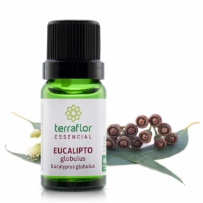 eucalipto_globulus_10ml_mockup_planta